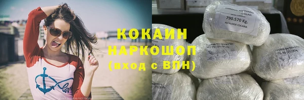 молекула духа Переславль-Залесский